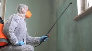 Best Forensic Mold Investigation  in Taft Mosswood, CA