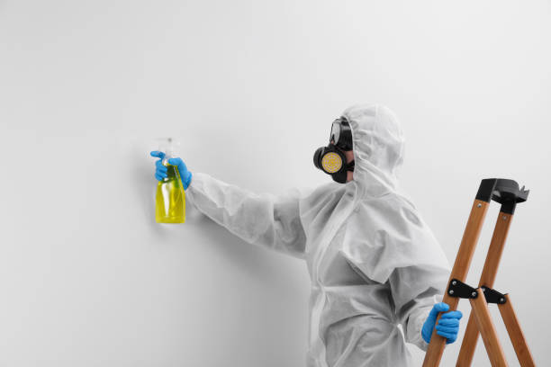 Best Mold Remediation for Healthcare Facilities  in Taft Mosswood, CA